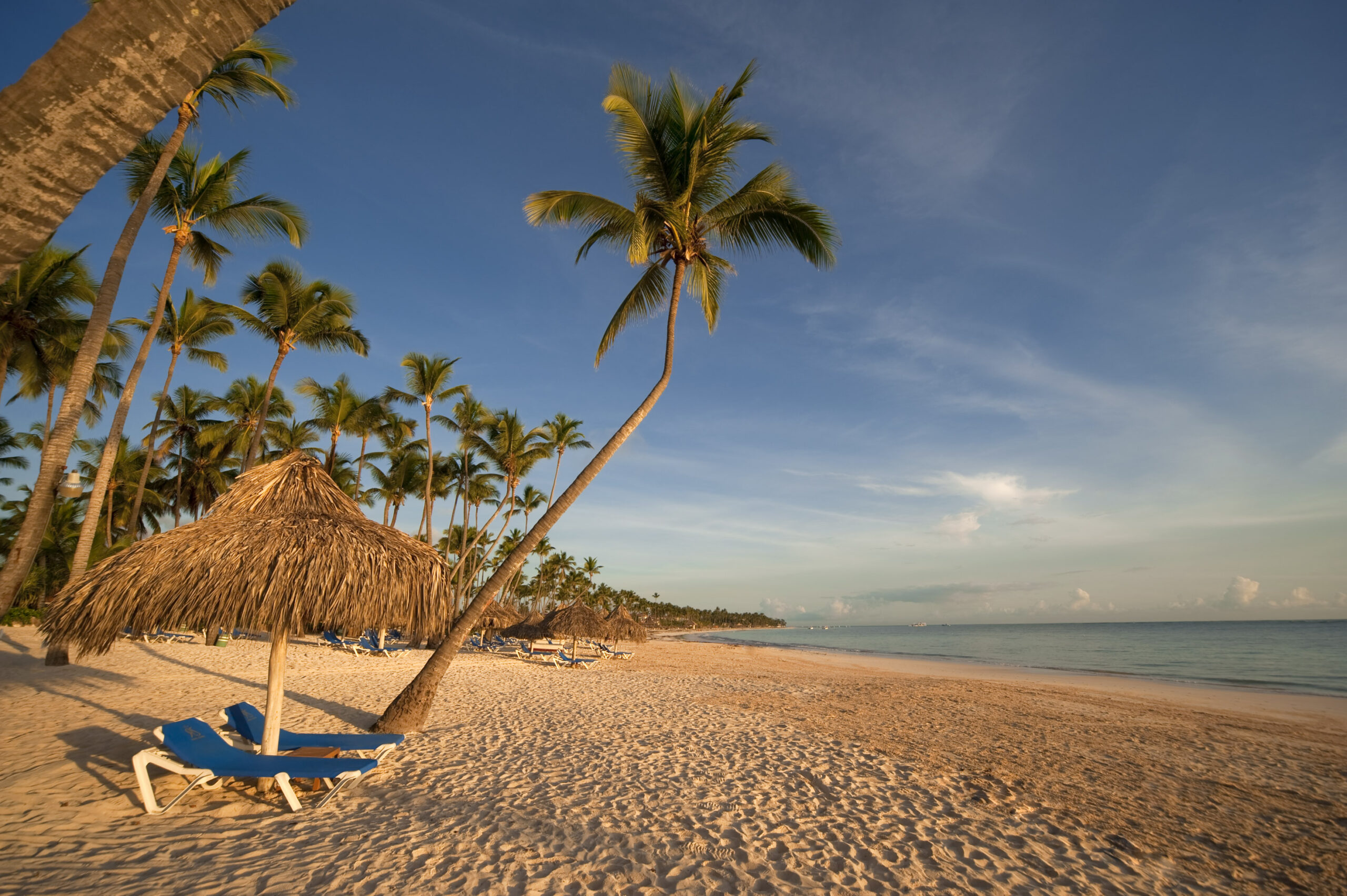 Melia Punta Cana's Beach