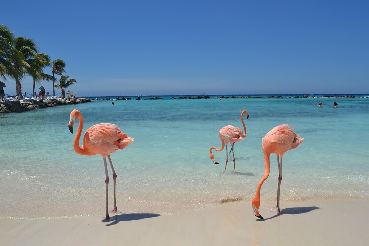 Bucket List Beach Destinations | Aruba