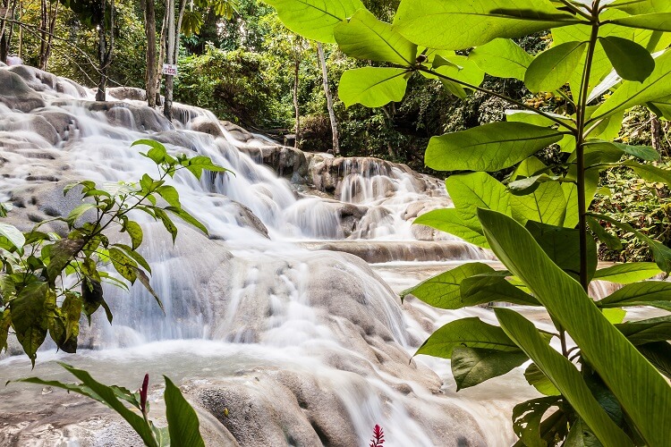 Things to Do in the Caribbean | Dunn's River Falls