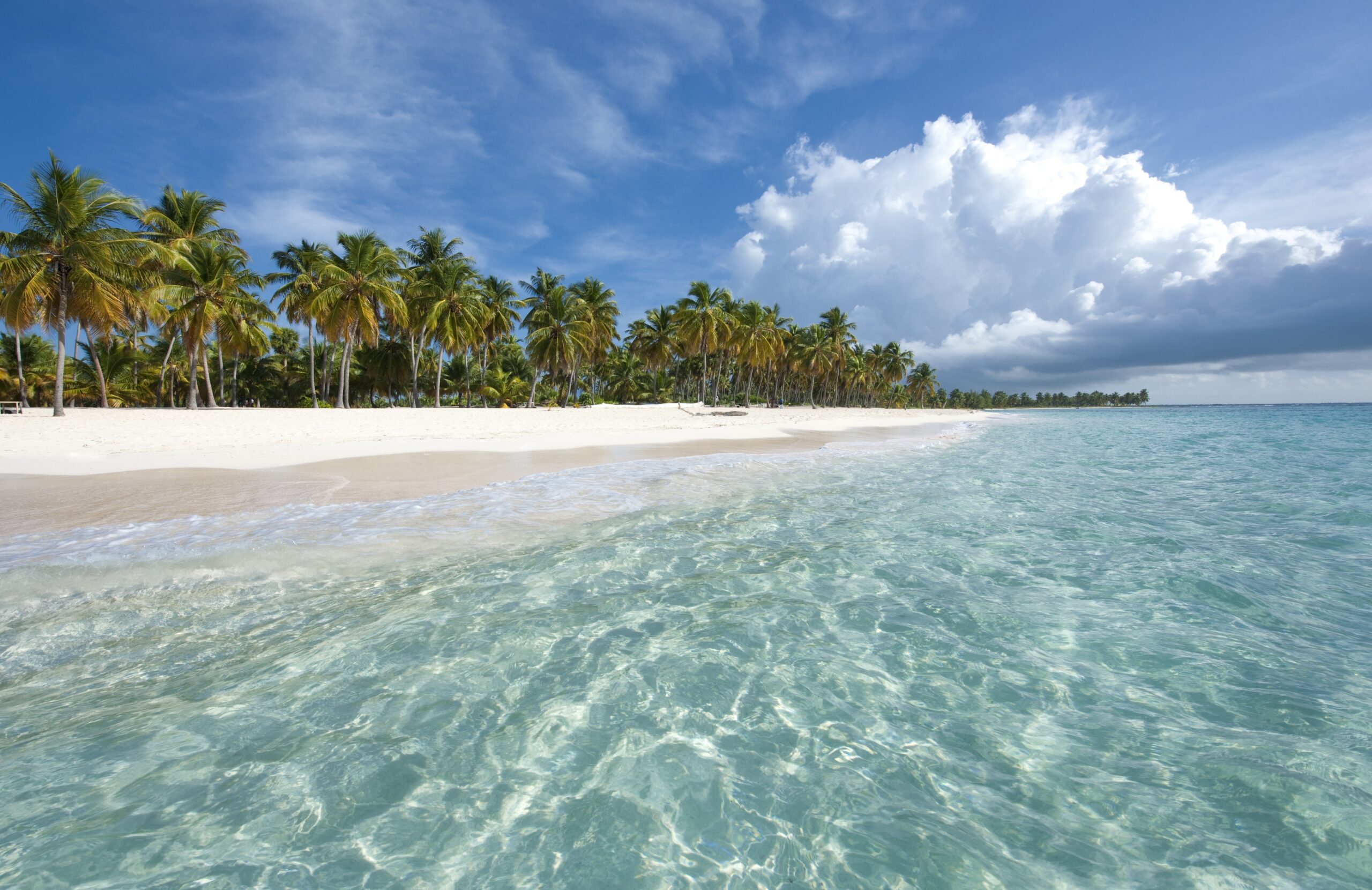 Isla Saona Dominican Republic