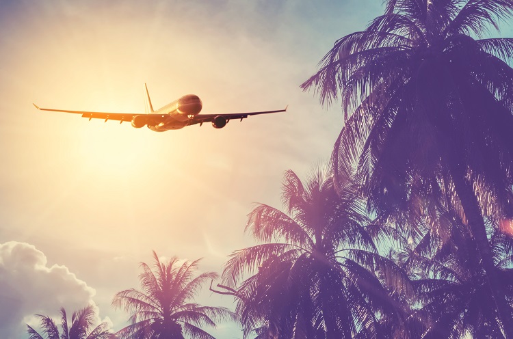 Plane flying over palm trees in Cabo San Lucas