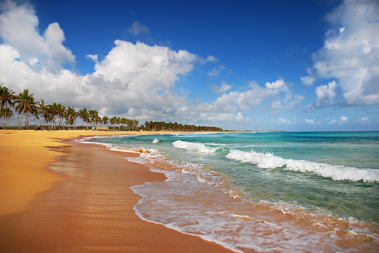 Exotic beach in Punta Cana
