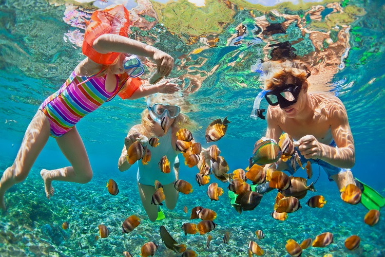 Favorite Beach Vacation Activities | Snorkeling