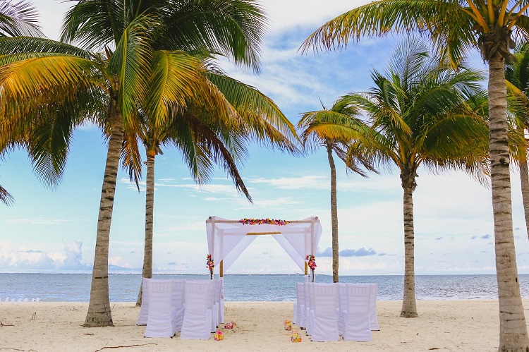 Reasons to Hire a Wedding Planner for your Big Day - Villa del Palmar  Cancun News