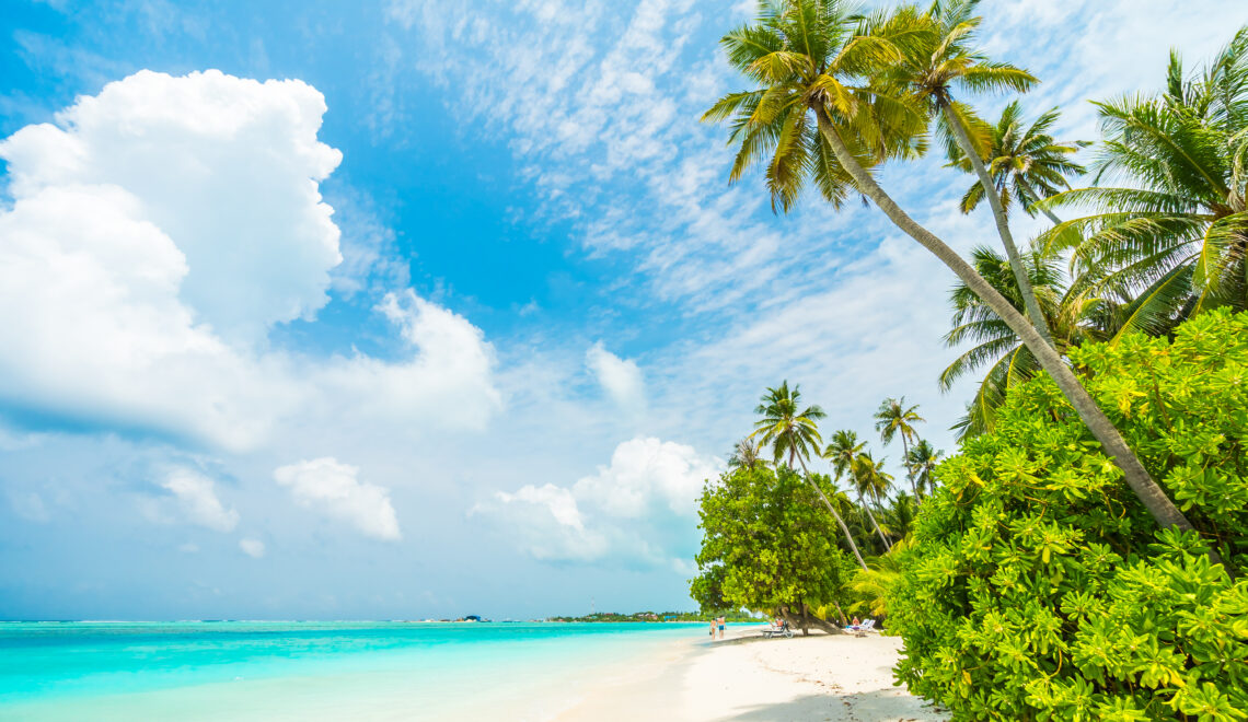 Your Ultimate Guide to the Best All Inclusive Travel Companies