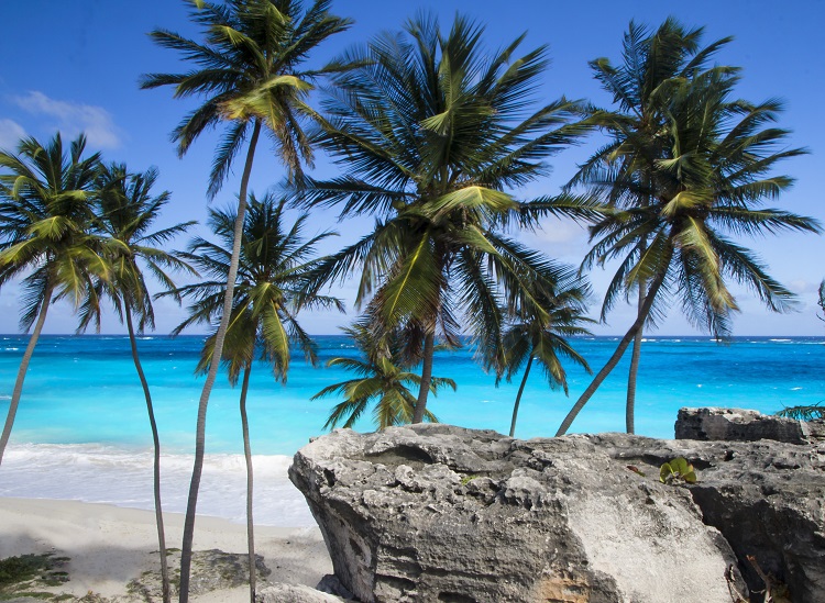 shutterstock_123451627-barbados Top Things To Do in Barbados on Vacation