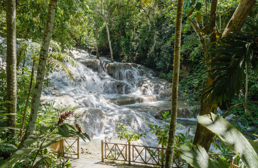 Dunn's River Falls